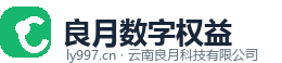 良月数字技术服务